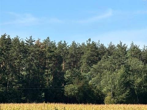 будинок за адресою Лісова