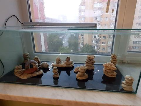 квартира по адресу Евгения Чикаленко ул., 59з