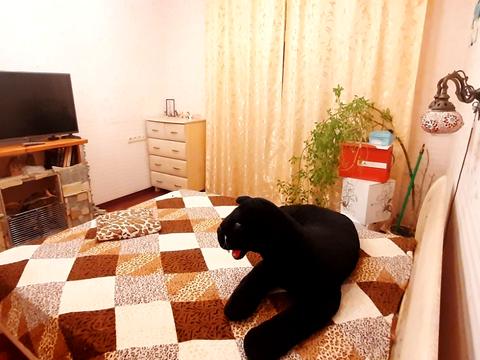 квартира по адресу Евгения Чикаленко ул., 59з