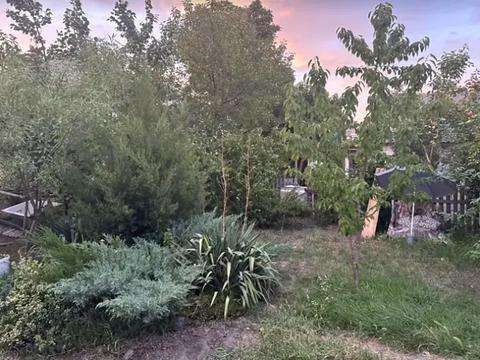 дом по адресу Штормовой пер.