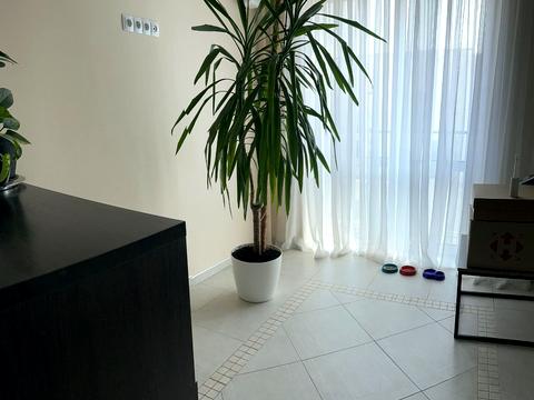 квартира по адресу Малоголосковская ул., 8а