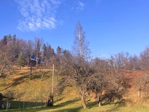 будинок за адресою Лесі Українки