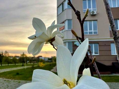 квартира по адресу с. Гатное, Приозёрный бульв., 6