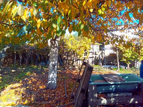 будинок за адресою Квітковий пров.