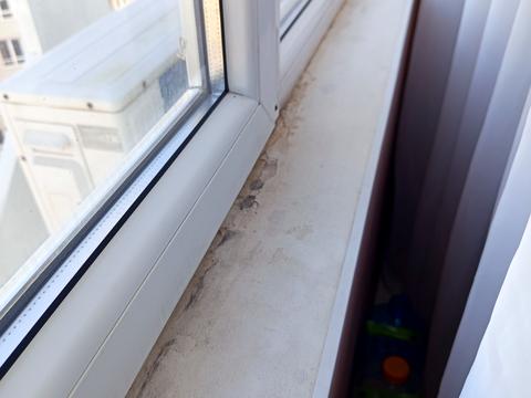 квартира по адресу Люстдорфская дорога ул., 55