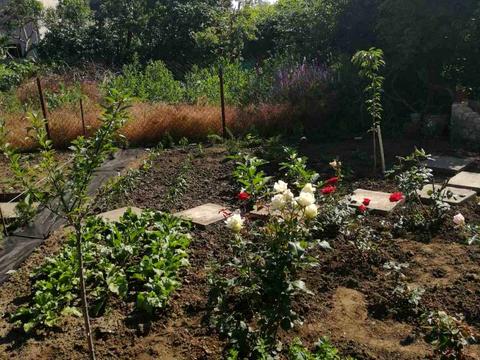 будинок за адресою Одеса, Рекордний пров.