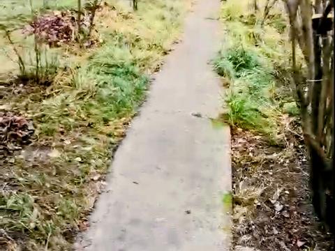 ділянка за адресою с. Хомутець, Дружби, 49