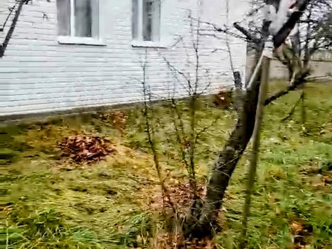 ділянка за адресою с. Хомутець, Дружби, 49