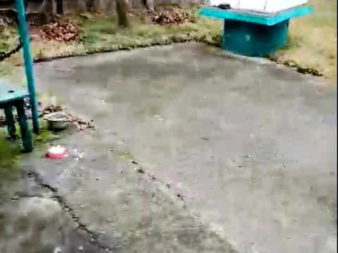 ділянка за адресою с. Хомутець, Дружби, 49