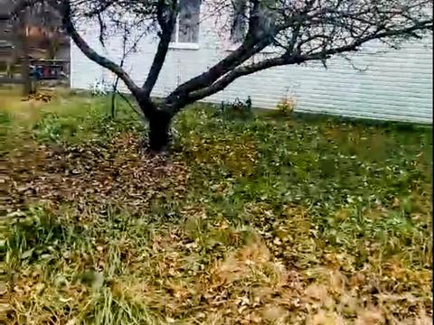 ділянка за адресою с. Хомутець, Дружби, 49