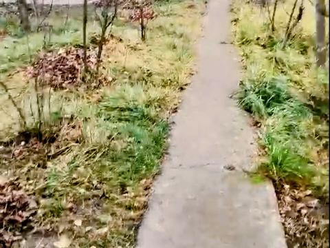 будинок за адресою с. Хомутець, Дружби, 49