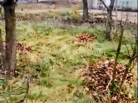 будинок за адресою с. Хомутець, Дружби, 49