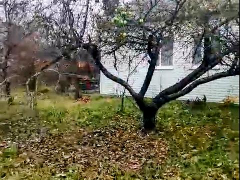 будинок за адресою с. Хомутець, Дружби, 49