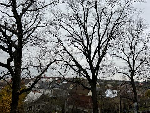 дом по адресу Киево-Мироцкая ул.