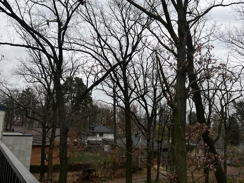 дом по адресу Киево-Мироцкая ул.