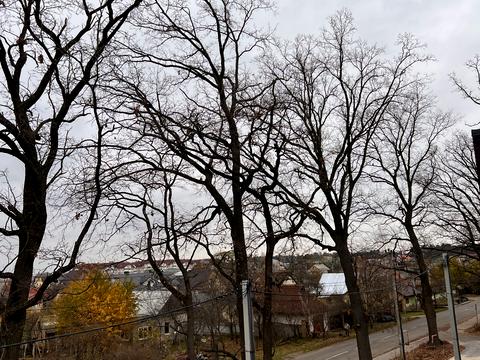 будинок за адресою Києво-Мироцька вул.