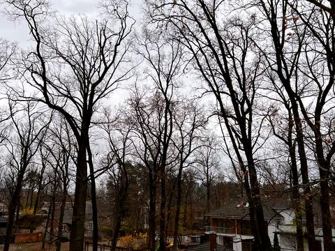 будинок за адресою Києво-Мироцька вул.