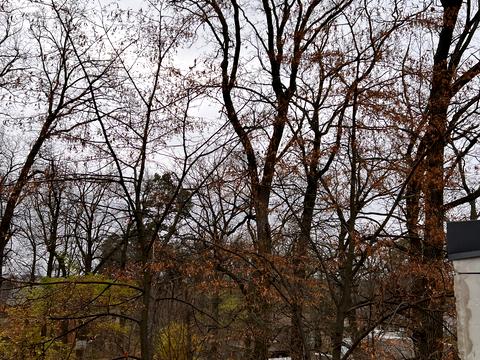 будинок за адресою Києво-Мироцька вул.