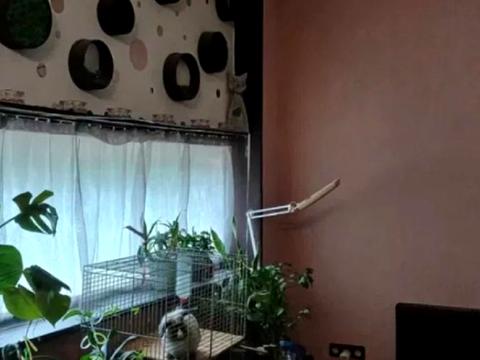 будинок за адресою Одеса, Селекционеров