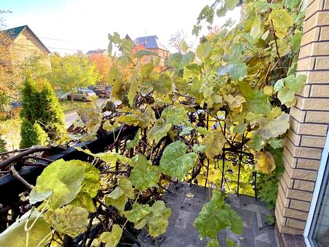 дом по адресу Патріотів ул.