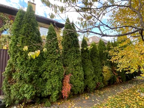 дом по адресу Патріотів ул.