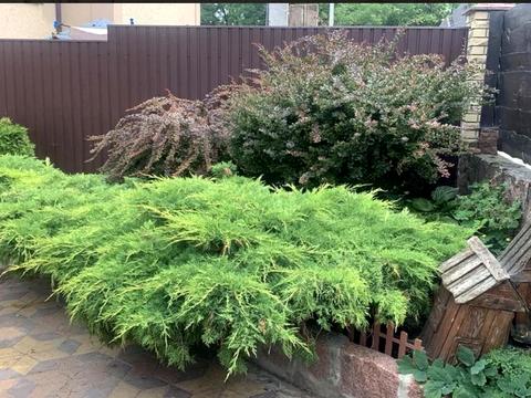 дом по адресу с. Вита-почтовая, Придорожна, 12