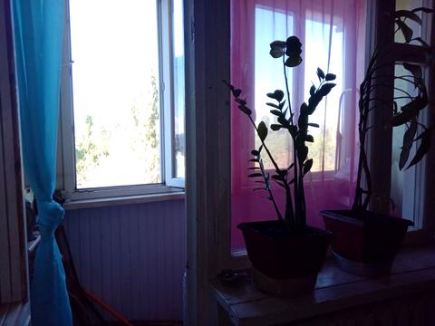 квартира по адресу Академика Заболотного ул., 29