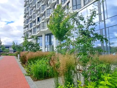 комерційна за адресою Берковецька вул., 4-Д