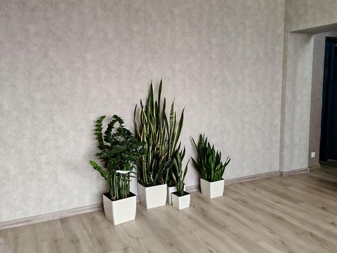 будинок за адресою Провулок Івана Піддубного, 11