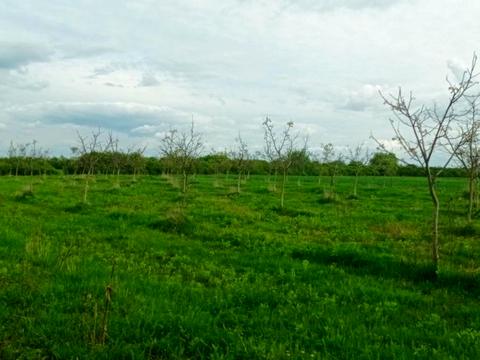 ділянка за адресою 