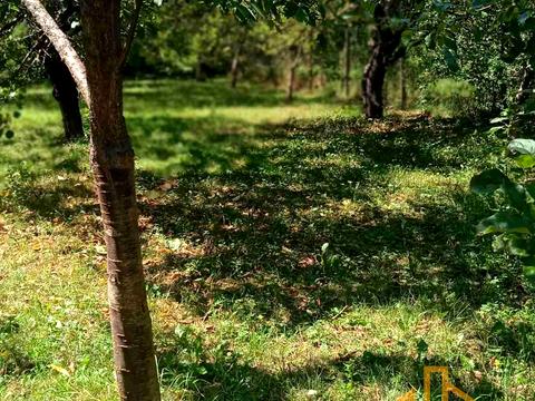 участок по адресу 