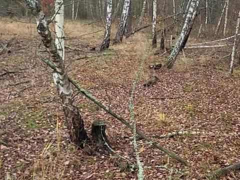 участок по адресу 