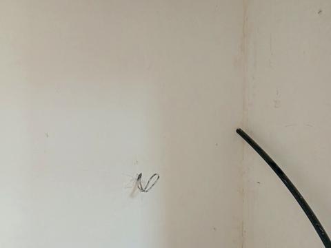 дом по адресу Боярська ул.