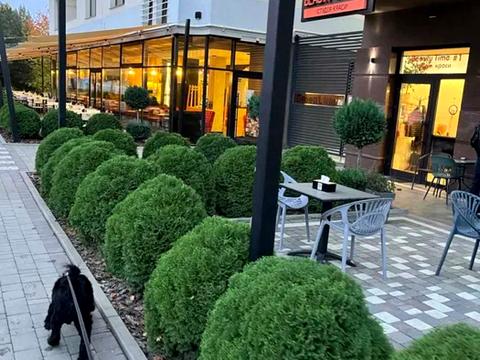 квартира за адресою Університетська вул., 1