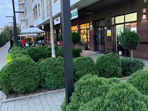 квартира за адресою Університетська вул., 1