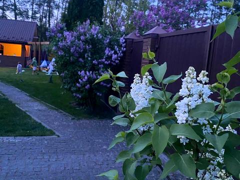 дом по адресу ОК Княжичі