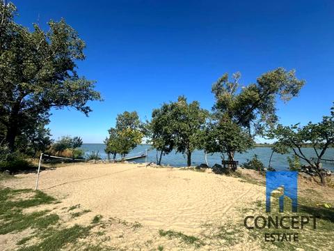 будинок за адресою Орлина вул., 118