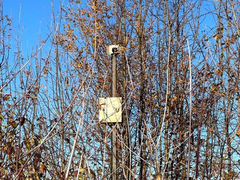 ділянка за адресою 