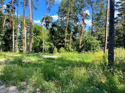 участок по адресу 