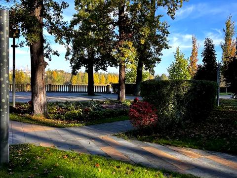 квартира за адресою Буча, Лісова вул., 3