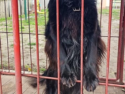 дом по адресу Шевченків Шлях ул. (Леніна), 100