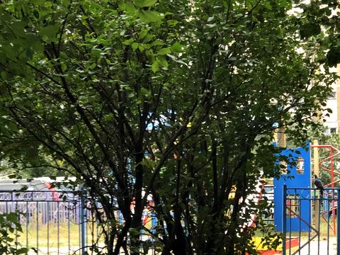 квартира за адресою Машинобудівників вул., 1-А