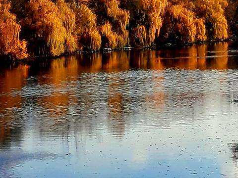 квартира за адресою Староярмаркова вул. (Сиволапа), 44