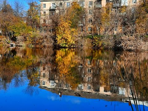 квартира за адресою Староярмаркова вул. (Сиволапа), 44