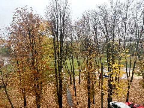 квартира по адресу Танкопия ул. (Танкопія), 41а