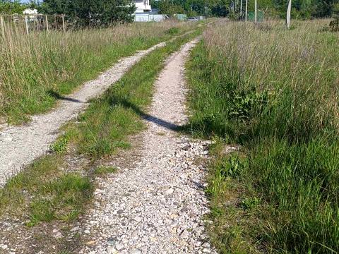 ділянка за адресою Шкільна