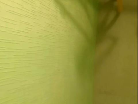 квартира по адресу Александра Поля просп. (Кірова), 42-А