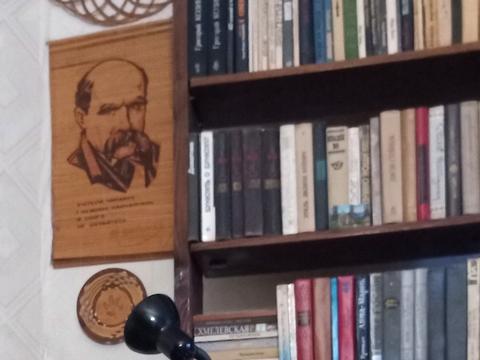 квартира по адресу Елены Телиги ул., 35