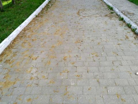 квартира за адресою 16 Липня вул., 1 г