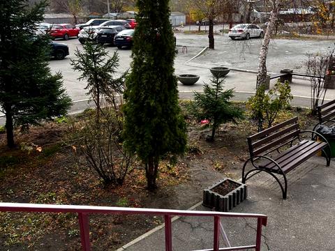 квартира по адресу Большая Диёвская ул. (Братьев Трофимовых), 24-А